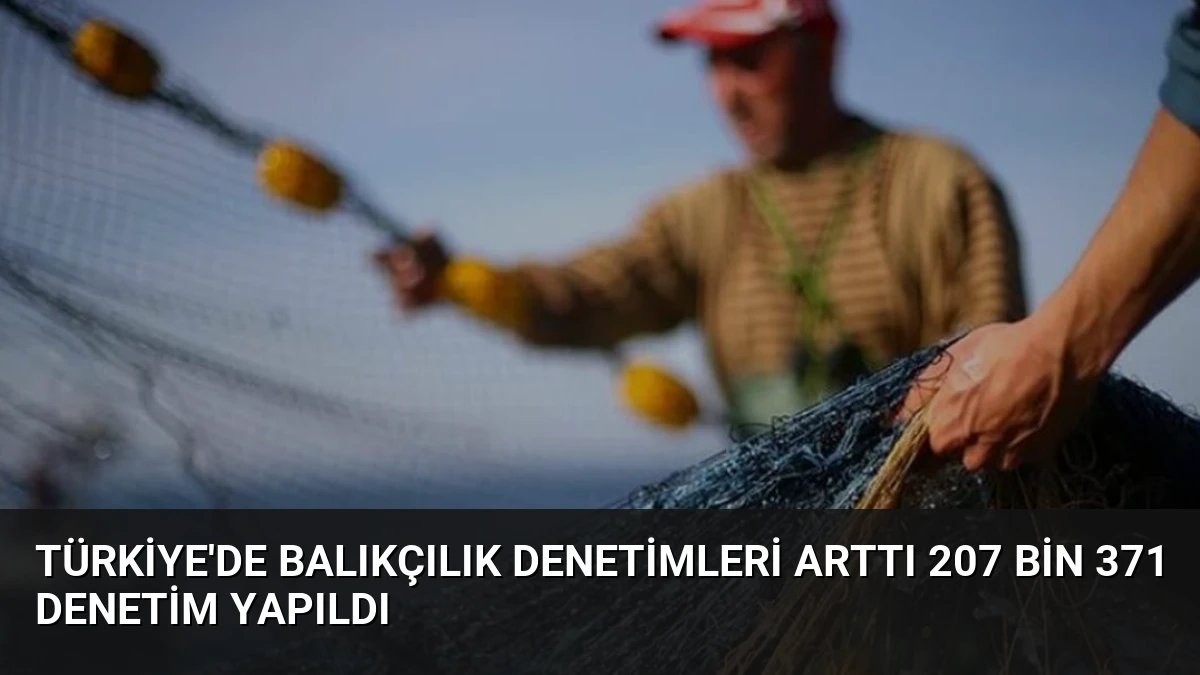 Türkiye’de Balıkçılık Denetimleri Arttı 207 Bin 371 Denetim Yapıldı
