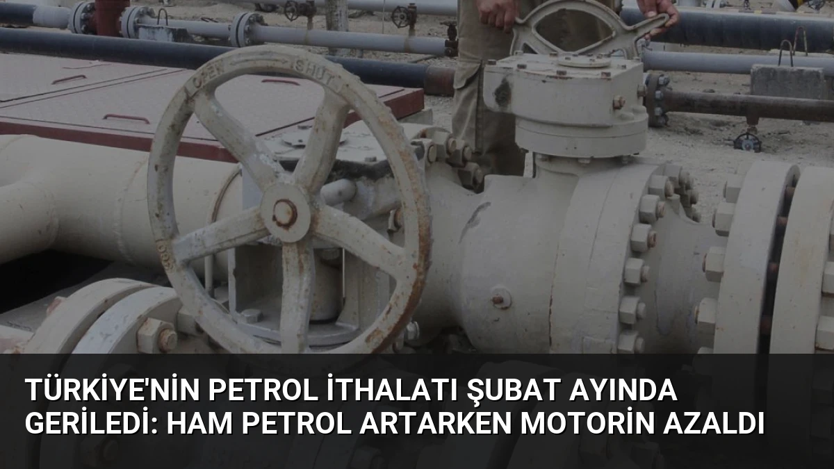 Türkiye’nin Petrol İthalatı Şubat Ayında Geriledi: Ham Petrol Artarken Motorin Azaldı