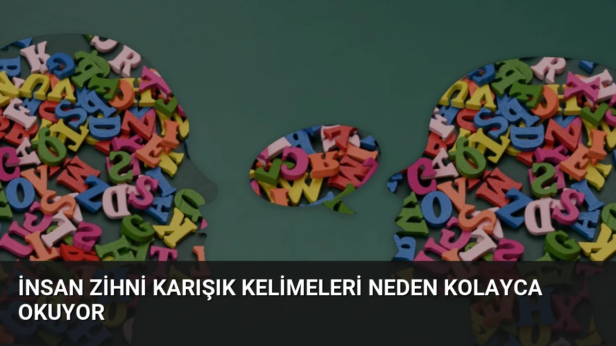 İnsan Zihni Karışık Kelimeleri Neden Kolayca Okuyor