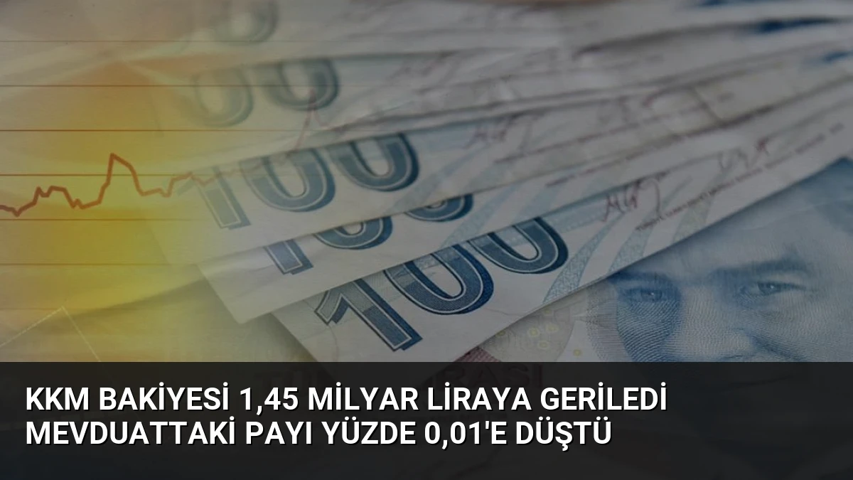 KKM Bakiyesi 1,45 Milyar Liraya Geriledi Mevduattaki Payı Yüzde 0,01’e Düştü