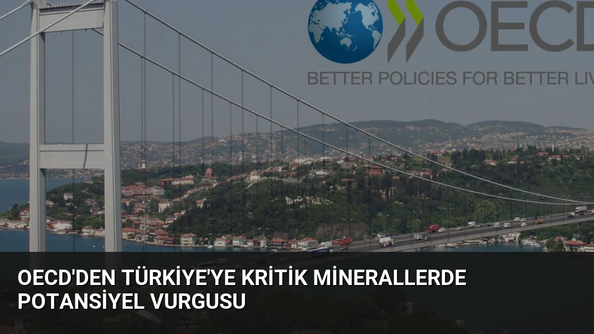 OECD’den Türkiye’ye Kritik Minerallerde Potansiyel Vurgusu