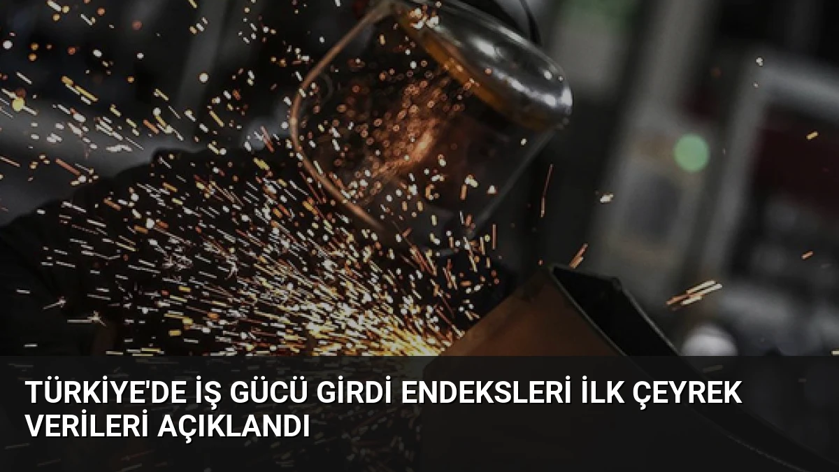 Türkiye’de İş Gücü Girdi Endeksleri İlk Çeyrek Verileri Açıklandı