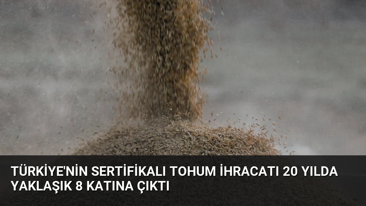 Türkiye’nin Sertifikalı Tohum İhracatı 20 Yılda Yaklaşık 8 Katına Çıktı