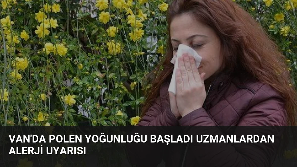 Van’da Polen Yoğunluğu Başladı Uzmanlardan Alerji Uyarısı