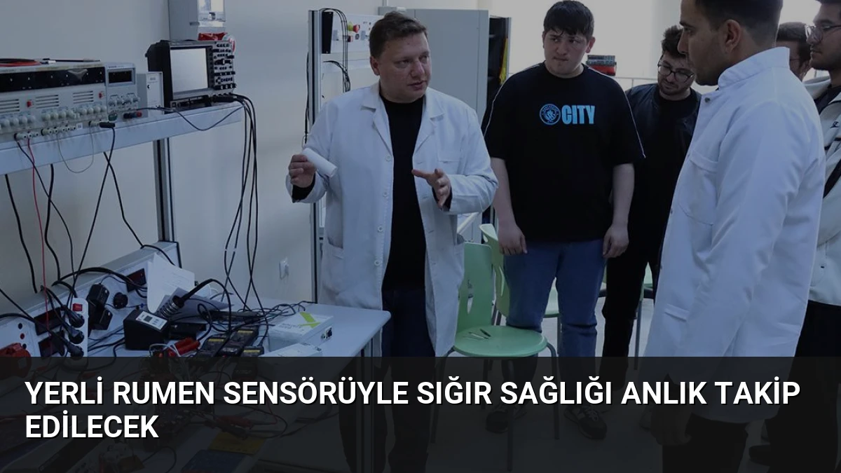 Yerli Rumen Sensörüyle Sığır Sağlığı Anlık Takip Edilecek