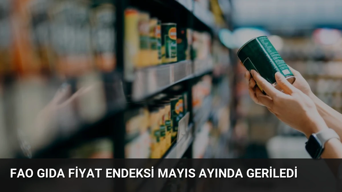 FAO Gıda Fiyat Endeksi Mayıs Ayında Geriledi