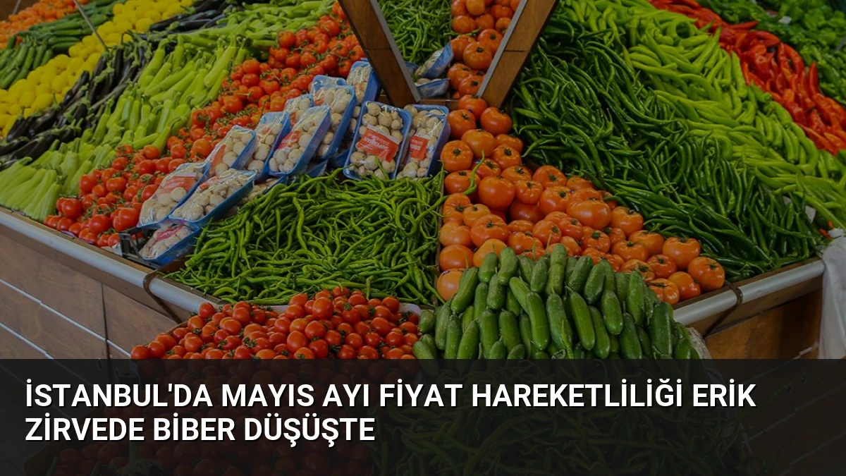İstanbul’da Mayıs Ayı Fiyat Hareketliliği Erik Zirvede Biber Düşüşte