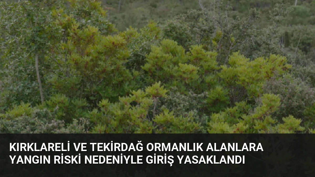 Kırklareli ve Tekirdağ Ormanlık Alanlara Yangın Riski Nedeniyle Giriş Yasaklandı