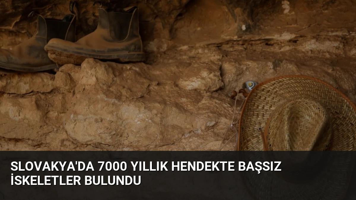 Slovakya’da 7000 Yıllık Hendekte Başsız İskeletler Bulundu
