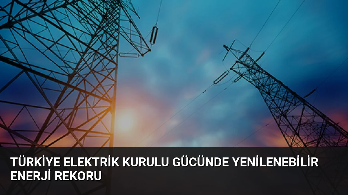 Türkiye Elektrik Kurulu Gücünde Yenilenebilir Enerji Rekoru