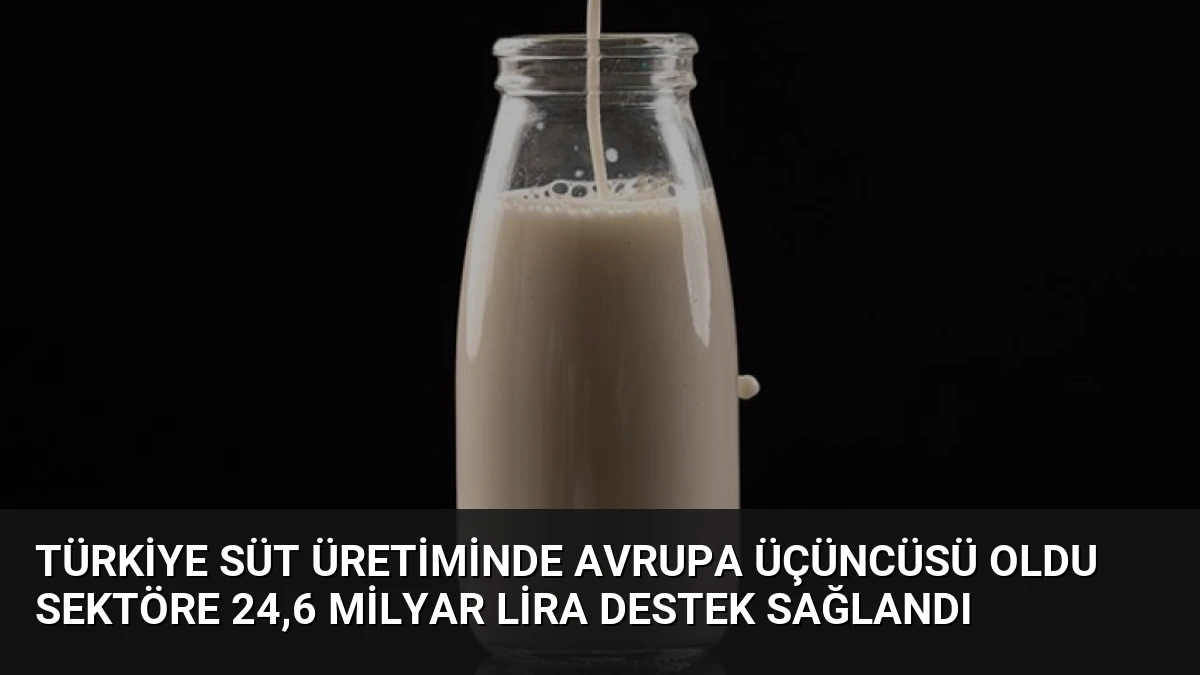 Türkiye Süt Üretiminde Avrupa Üçüncüsü Oldu Sektöre 24,6 Milyar Lira Destek Sağlandı