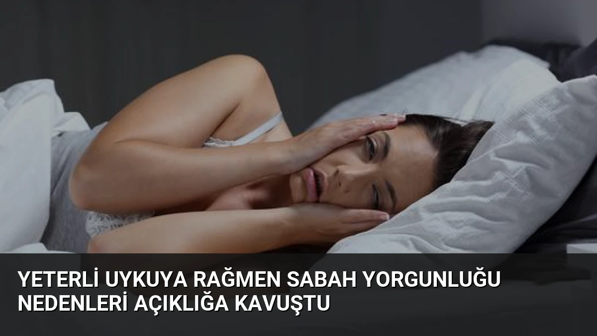 Yeterli Uykuya Rağmen Sabah Yorgunluğu Nedenleri Açıklığa Kavuştu