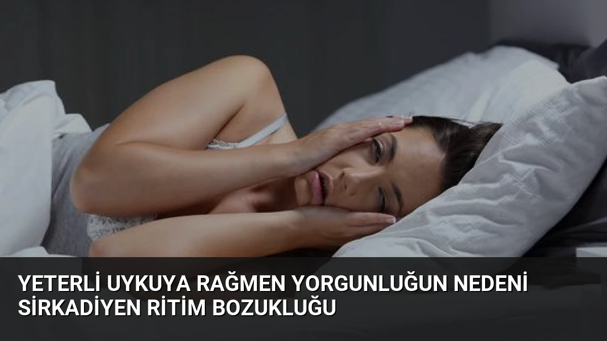 Yeterli Uykuya Rağmen Yorgunluğun Nedeni Sirkadiyen Ritim Bozukluğu