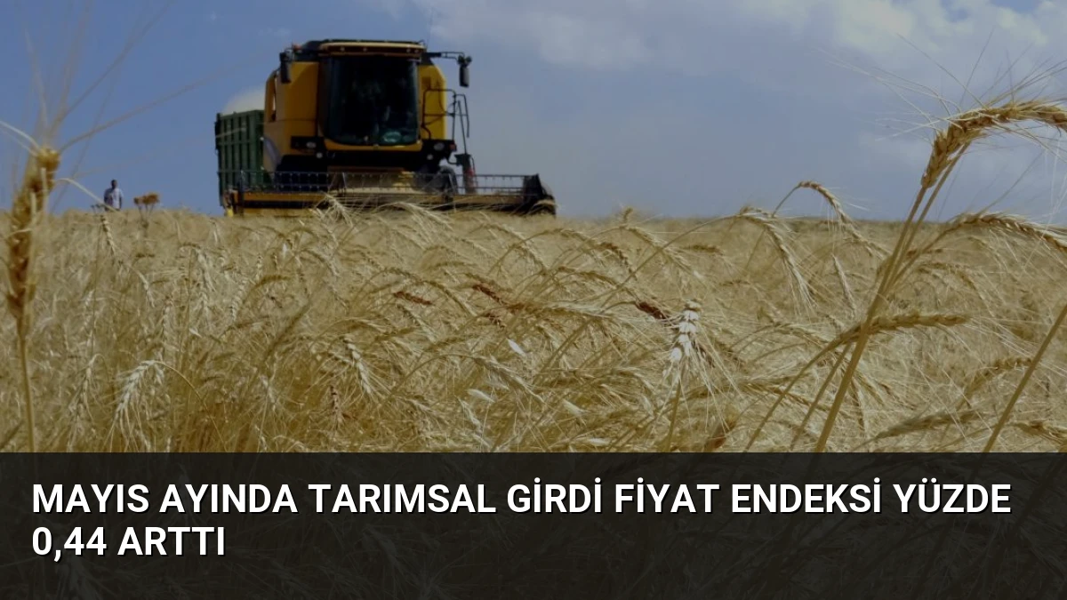 Mayıs Ayında Tarımsal Girdi Fiyat Endeksi Yüzde 0,44 Arttı