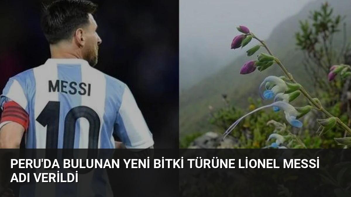 Peru’da Bulunan Yeni Bitki Türüne Lionel Messi Adı Verildi