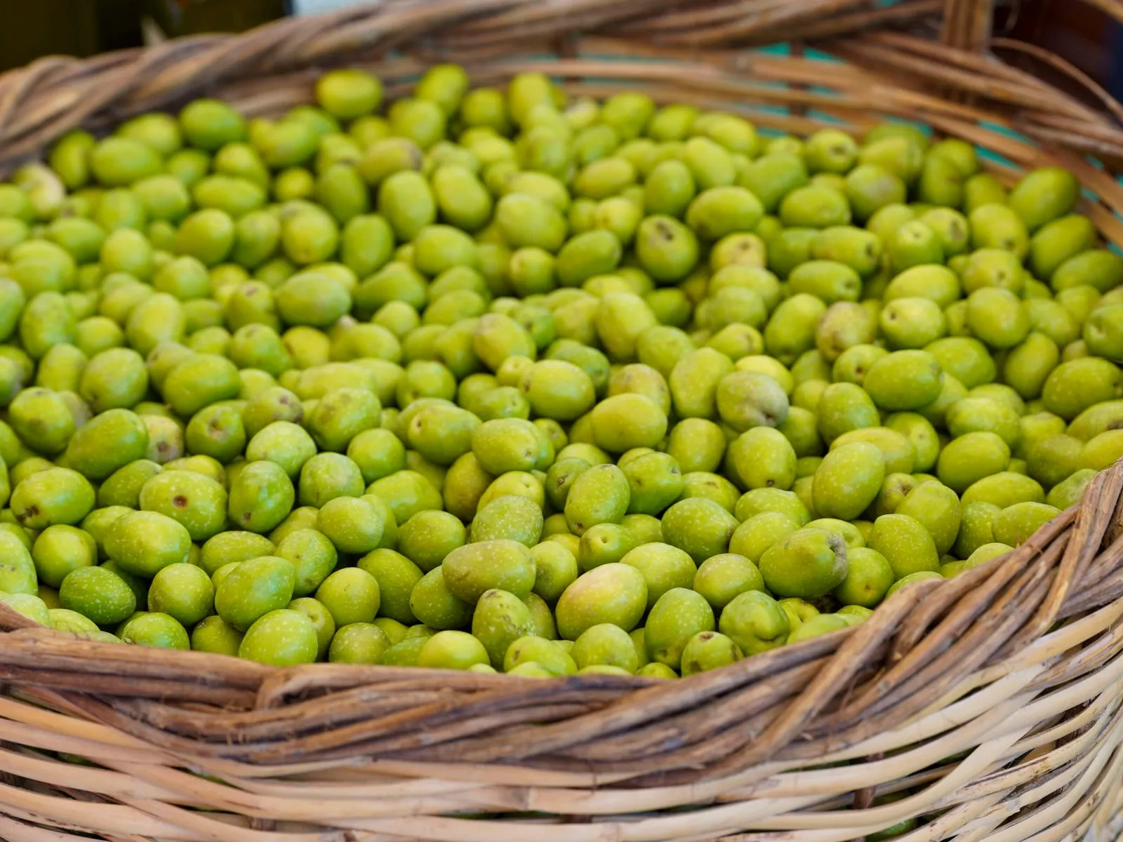 Tarsus 3. Uluslararası Sarıulak Zeytin Festivali Düzenlenecek