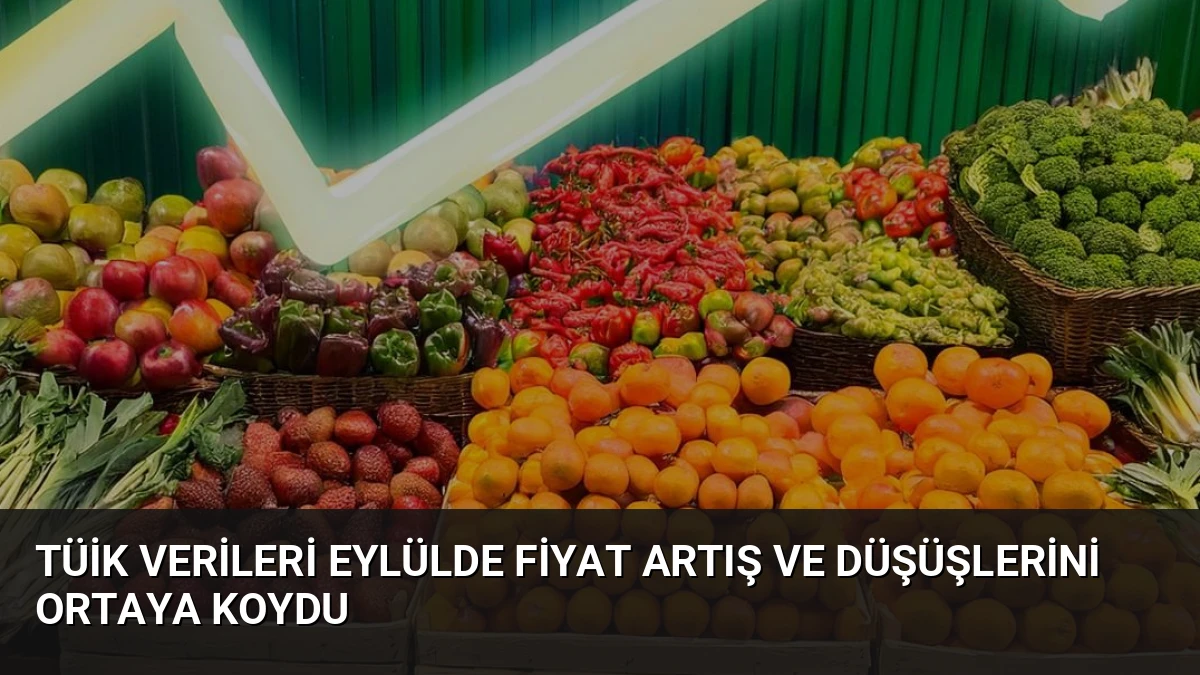 TÜİK Verileri Eylülde Fiyat Artış ve Düşüşlerini Ortaya Koydu